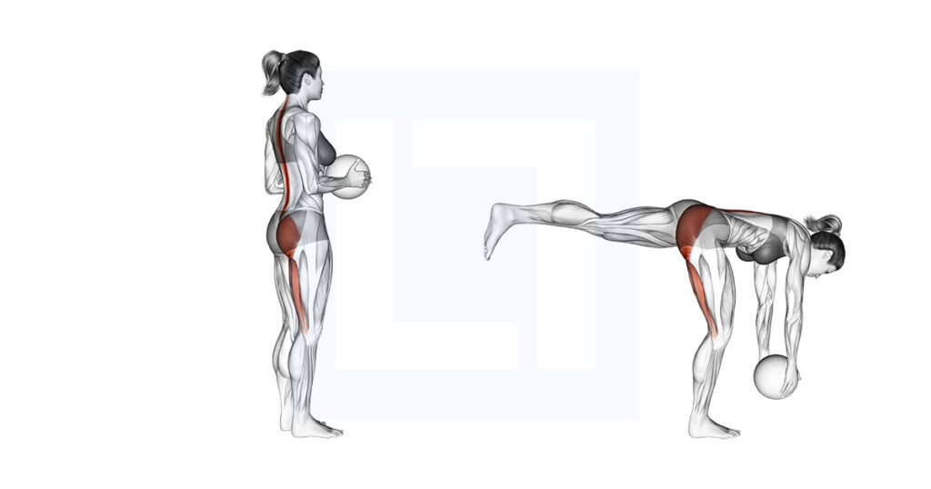 Single Leg Deadlift