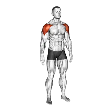 Mid Air Lateral Raises With Switching Palms