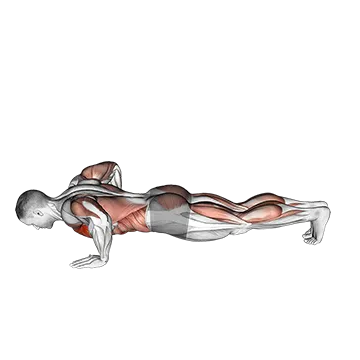 Modified Hindu Push Up