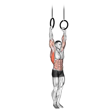 Best Gymnastics Workouts Muscle Up
