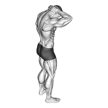 How To Get A Bigger Neck Neck Extensor Stretch
