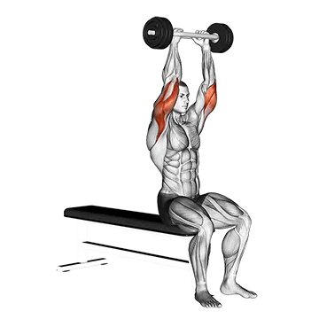 Best Barbell Tricep Workouts Olympic Barbell Triceps Extension