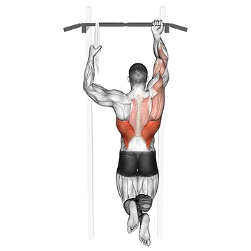 Best Bodyweight Bicep Workouts One Arm Chin Up