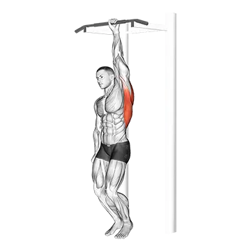 Best Bodyweight Forearm Workouts One Handed Hang