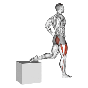 Best Calisthenics Leg Workouts One Leg Squat