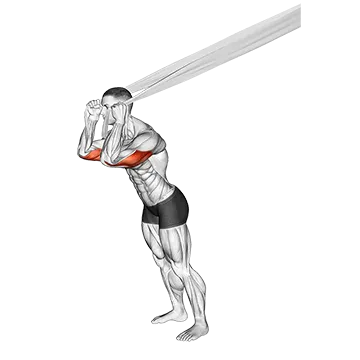 How To Build Bigger Triceps Overhead Triceps Extension With Bed Sheet
