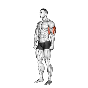 Best Long Head Tricep Exercises Overhead Triceps Stretch
