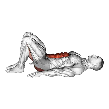 Best Postpartum Ab Workouts Pelvic Tilt