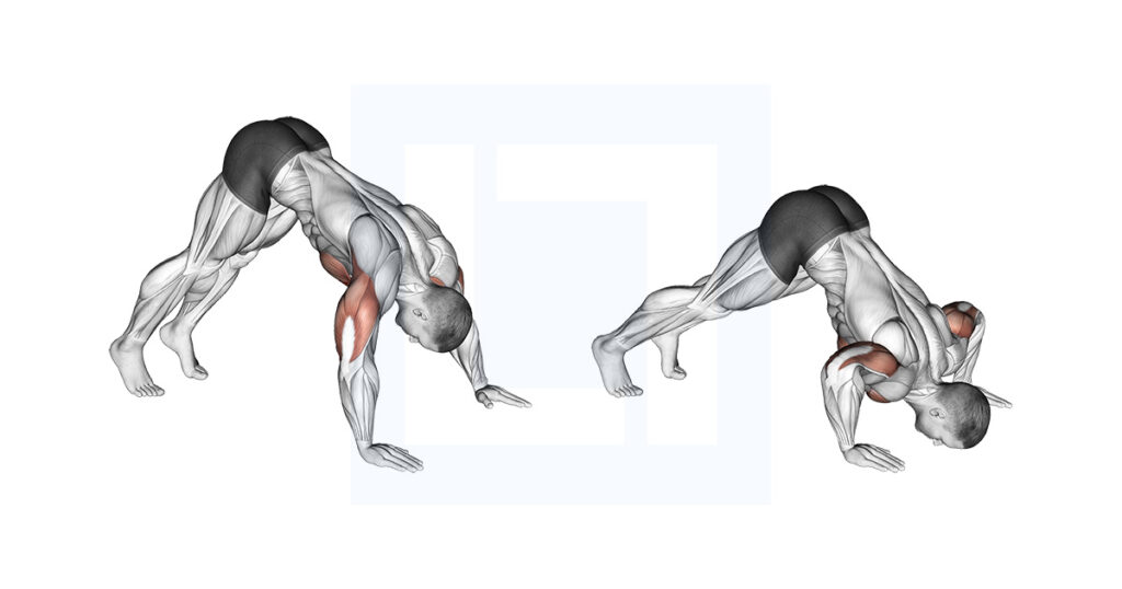 Pike Push Up Overhead Pressing Bodyweight Exercise Pike Push Up Overhead Pressing Bodyweight Exercise