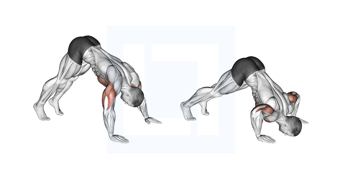 Negative Push up Guide Benefits And Form
