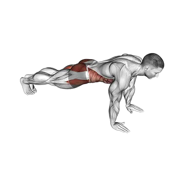 Best Cardio Workouts For Weight Loss Plank Jack