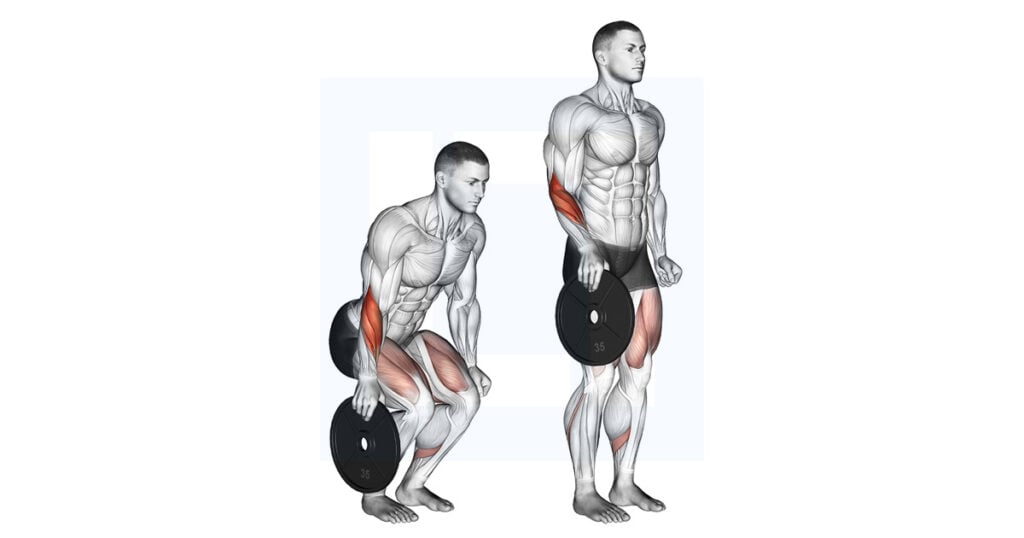 Plate Pinch