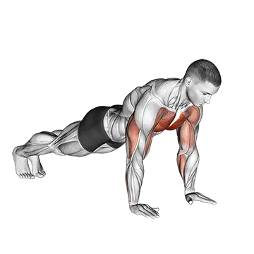 Difference Between Push Up And Bench Press Plyo Push Up