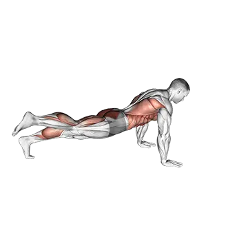 Power Point Plank