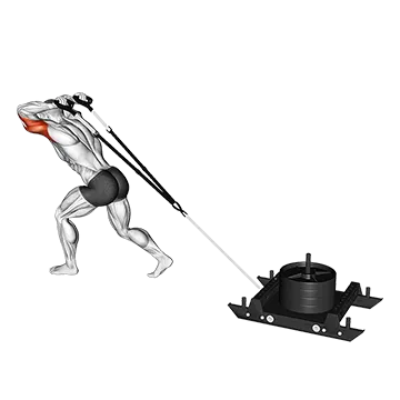 Power Sled Triceps Extension