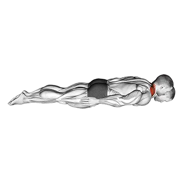 Prone Cervical Extension Isometric Hold