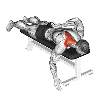 Best Bodyweight Trap Workouts Prone Single Arm Trap Raise