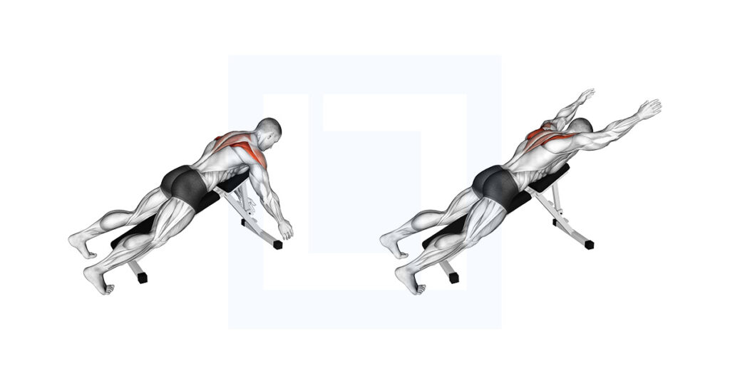 Superman Exercise Guide Benefits And Form