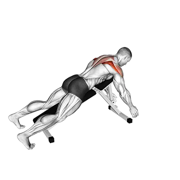 Best Bodyweight Trap Workouts Prone Y Raise