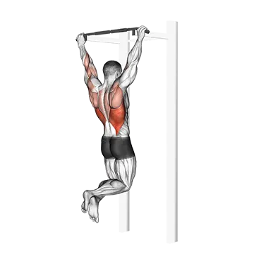 Best Push Pull Legs Routine Pull Up