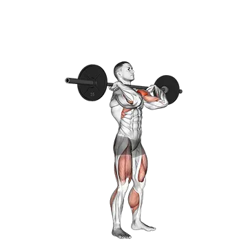 Best Anterior Delt Exercises Push Press