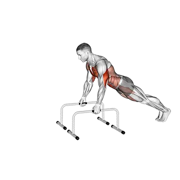 Push Up and Triceps Dip on Parallel Bars