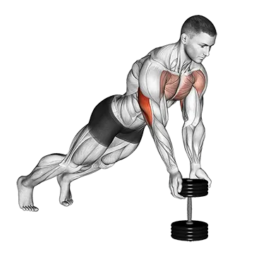 Push Up Close Grip Off Dumbbell