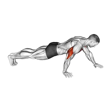 Push Up Hand by Hand