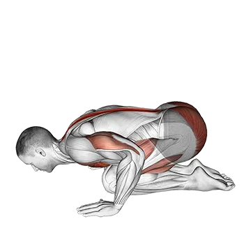 Push Up in Child Pose