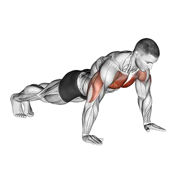 Push Up M