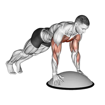 Best Bosu Ball Workouts Push Up On Bosu Ball