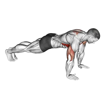 How To Fix Winged Scapula PushUp Plus