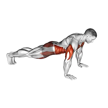 Push Up to Knee Tap