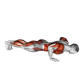 Push Up Toe Touch