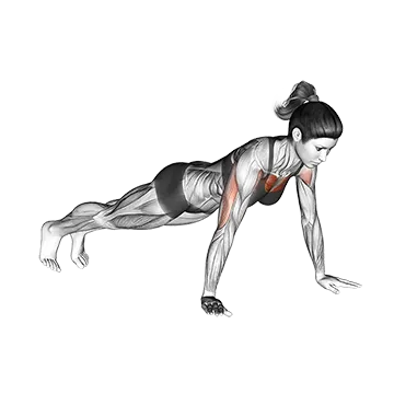 Push Ups