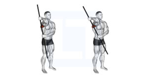 Resistance Band External Rotation - Guide, Benefits, and Form