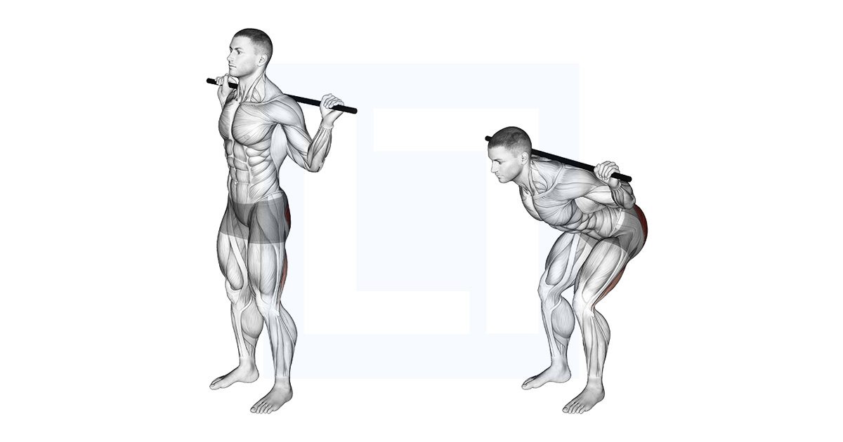 Bodyweight Good Morning Guide Benefits And Form Bodyweight Good Morning Guide Benefits And Form