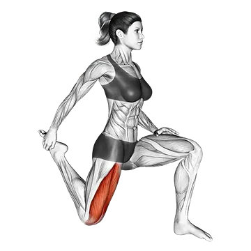Best Quad Stretches Quadriceps Stretch