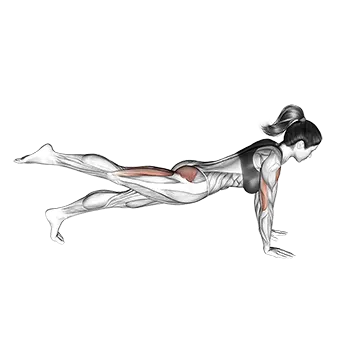 Raise Single Leg Push Up