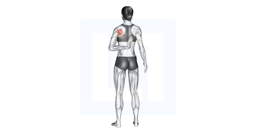 Reaching Up Shoulder Stretch