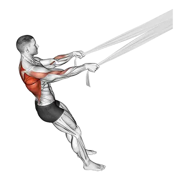 Rear Delt Row With Bed Sheet