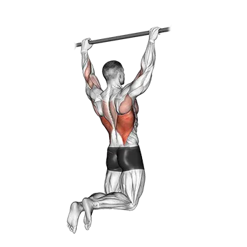 Best Bodyweight Back Workouts Rear Pull Up