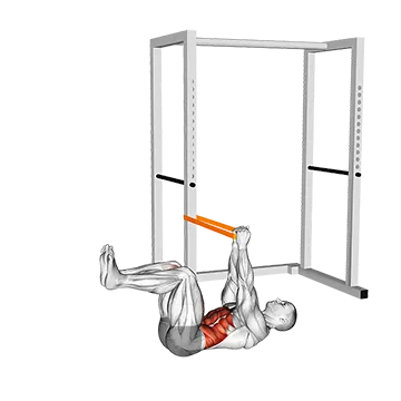 Best Dead Bug Ab Workouts Resistance Band Anti Rotation Dead Bug
