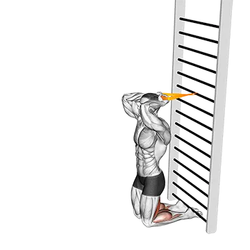 Best At Home Hamstring Workouts Resistance Band Assisted Nordic Hamstring Curl