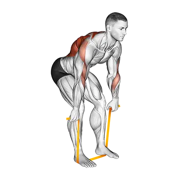 Best Resistance Band Workouts Resistance Band Bent Over Row