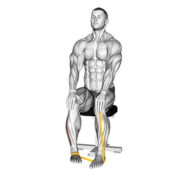 Resistance Band Foot Eversion