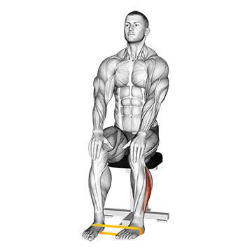 Best Resistance Band Workouts For Slim Legs Resistance Band Foot External Rotation