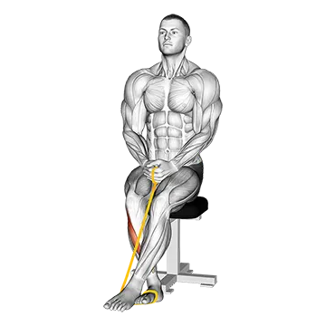 Resistance Band Foot Inversion