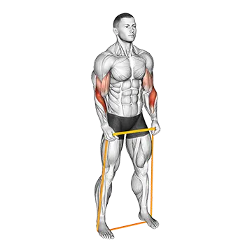 Best Resistance Band Arm Workouts Resistance Band Hammer Curl