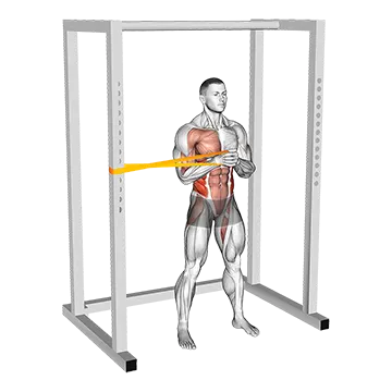 Resistance Band Horizontal Pallof Press